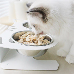 Elevate Your Pet's Feeding Experience with the Anti-falling Cat Dog Feeding Water Bowl
