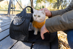 Comfortable and Secure Pet Carriers