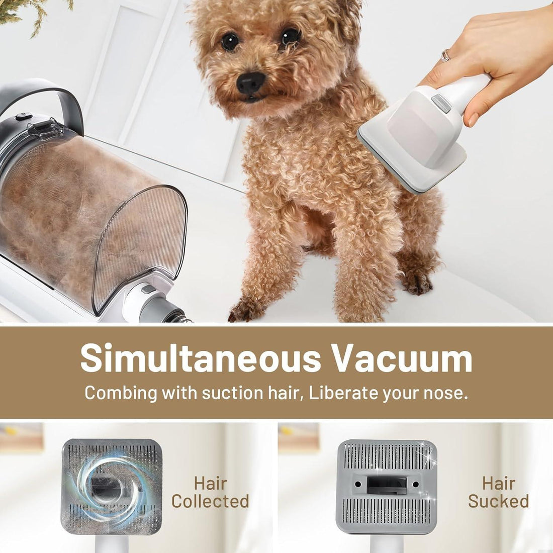 Pet Hair Cleaning Low Noise Vacuum Cleaner
