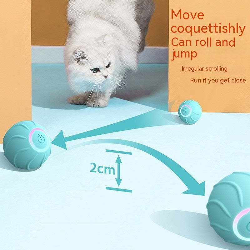 Smart Cat Rolling Ball Pet Toys
