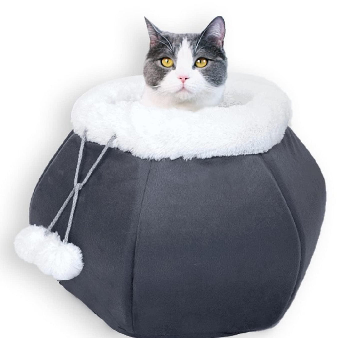 Cat Beds for Indoor Cats