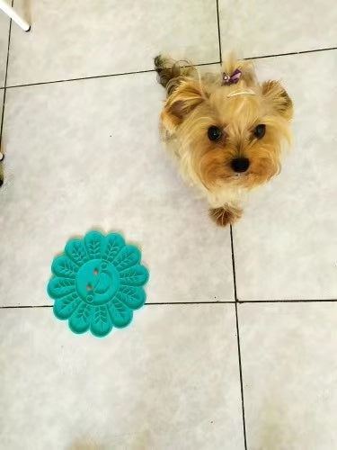 Fish Shape Silicone Food Bowl