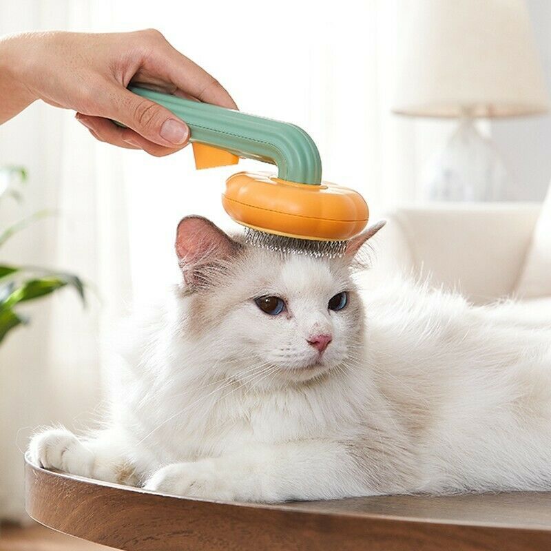 Pet Pumpkin Grooming Self Cleaning Slicker Brush For Dogs