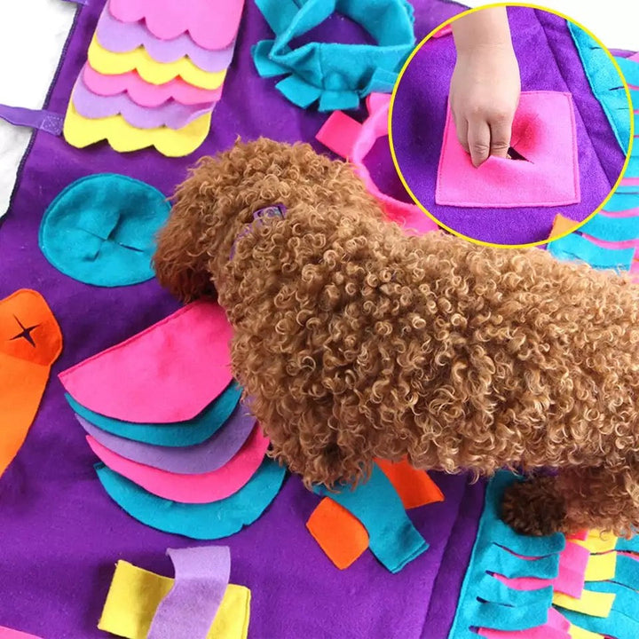 Pets Puzzle Toys
