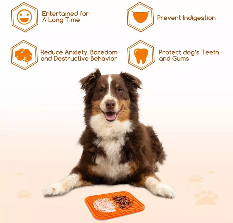 Pet Dog Feeding Food Bowl