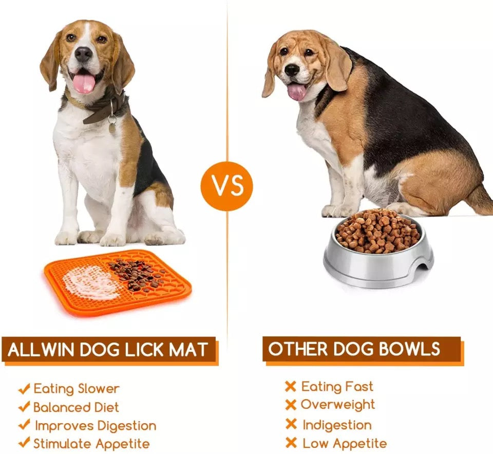 Pet Dog Feeding Food Bowl