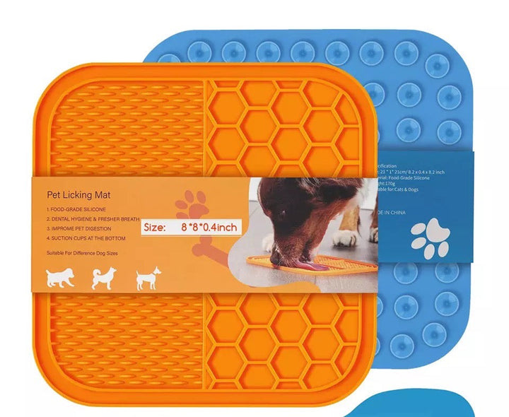 Pet Dog Feeding Food Bowl