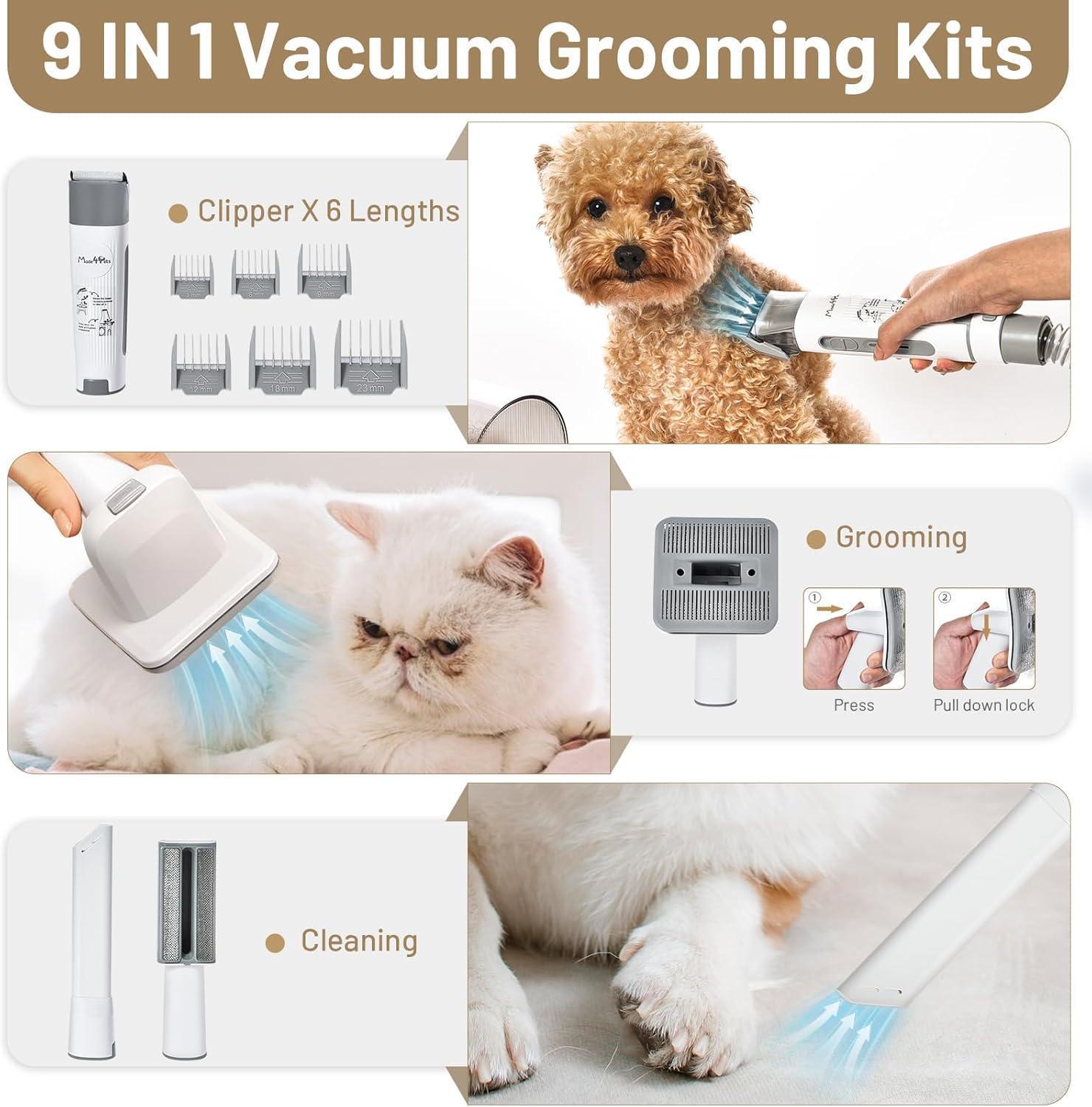 Pet Hair Cleaning Low Noise Vacuum Cleaner