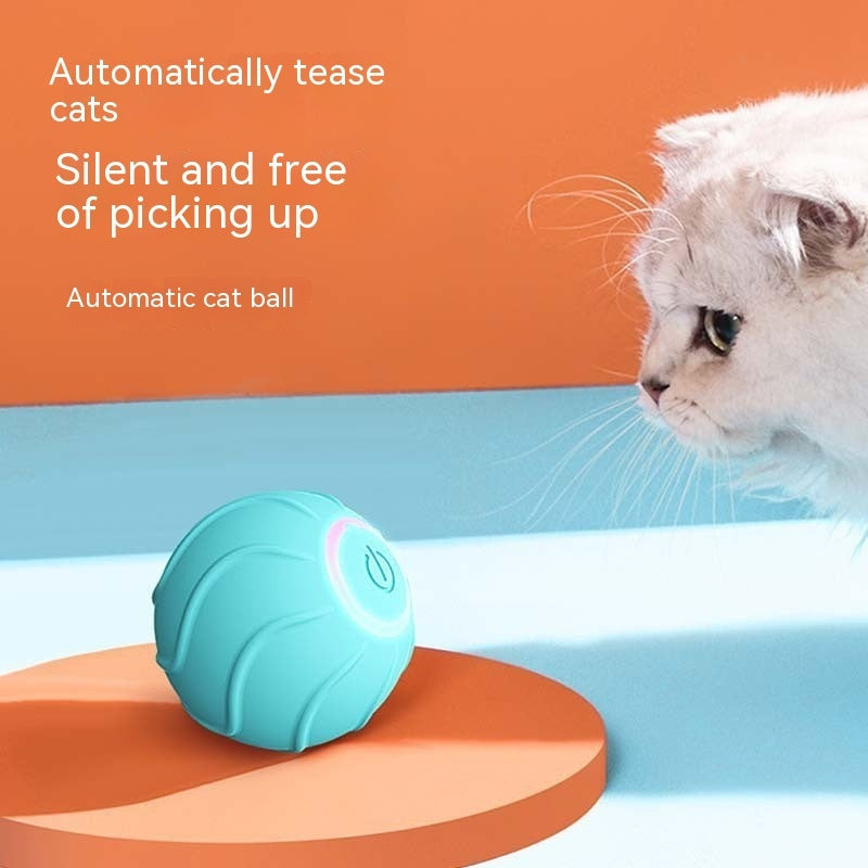 Smart Cat Rolling Ball Pet Toys