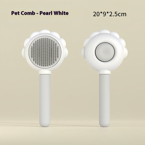 2 In 1 Self Cleaning Brush Comb