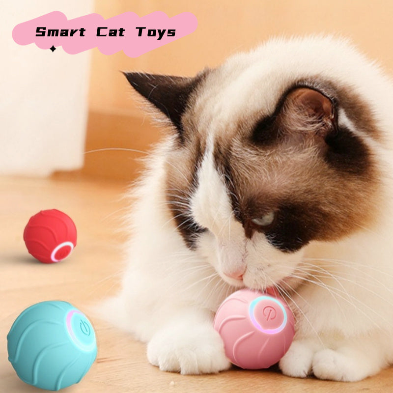 Smart Cat Rolling Ball Pet Toys