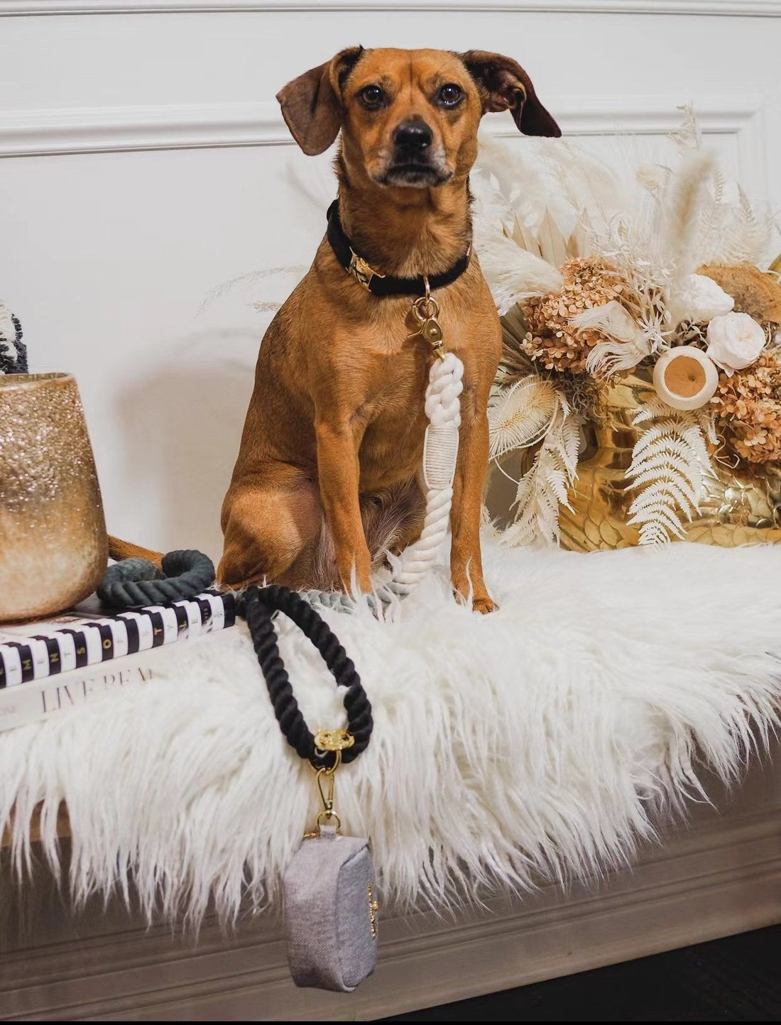 Luxe Royal Leather Rope Leash and Collar Set