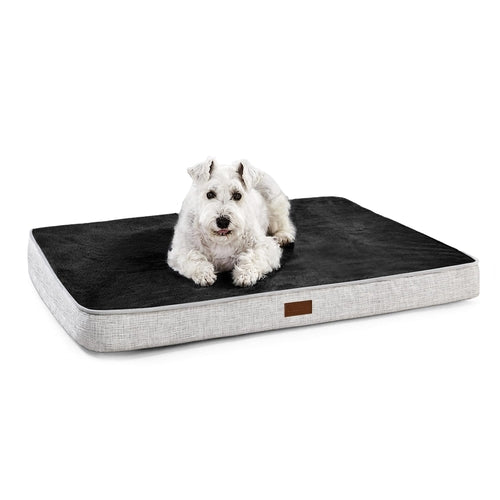 Orthopedic Dog Bed with Washable Cover