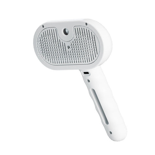 Pet Hair Remover Cleaning Brush