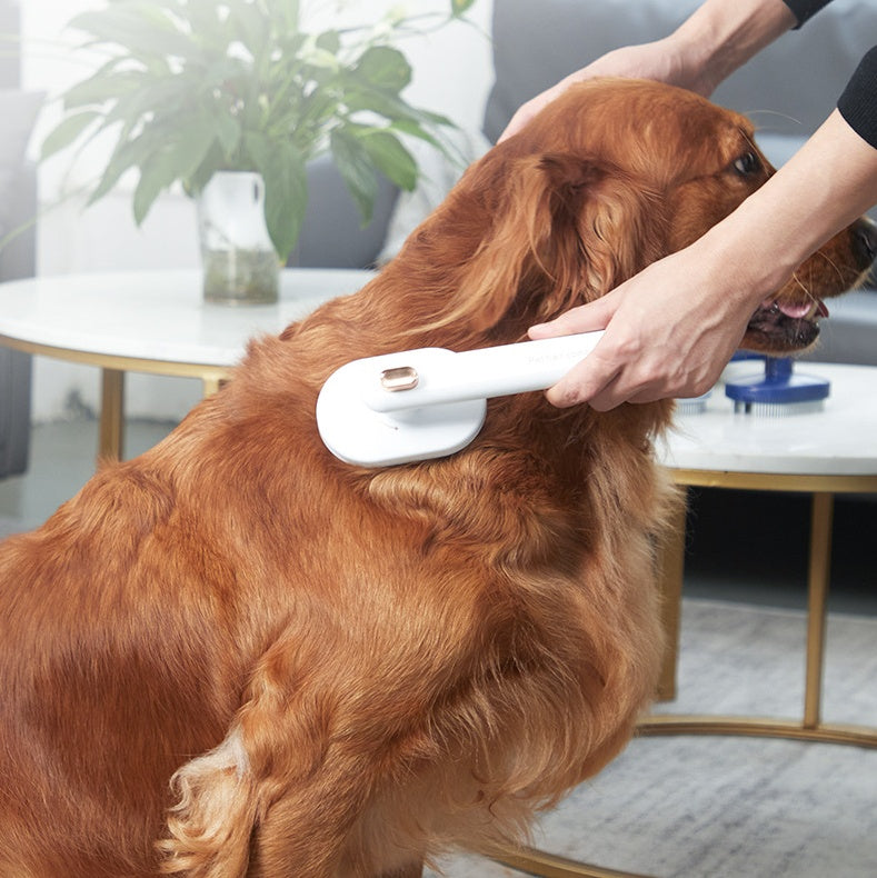 Pet Hair Brush Hair Removal