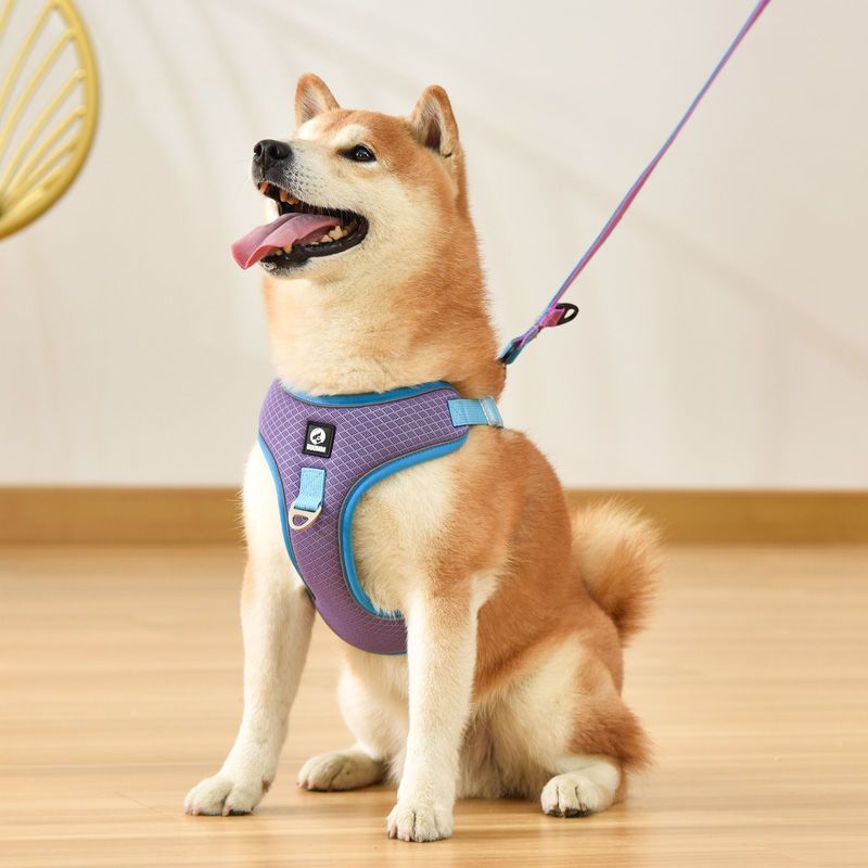 Pet Adjustable Breathable Mesh Reflective Leash
