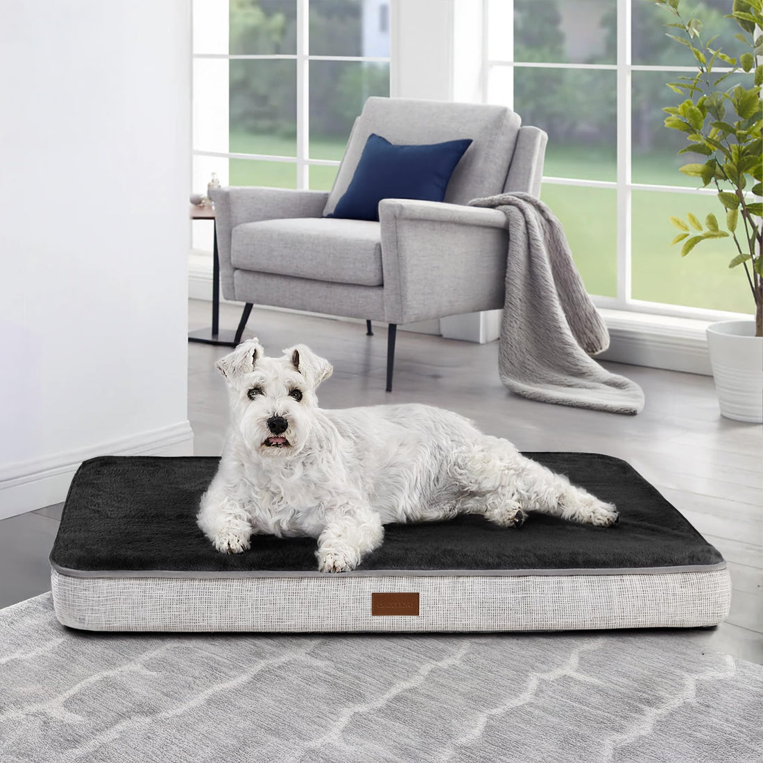 Orthopedic Dog Bed with Washable Cover