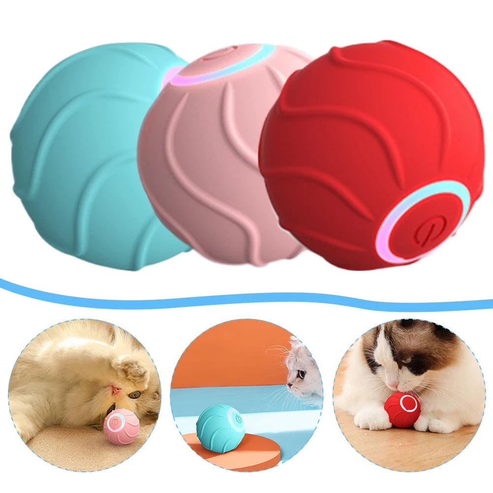 Smart Cat Rolling Ball Pet Toys