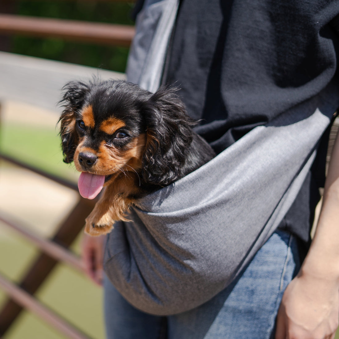 Lof Mesh Pet Sling Bag Carrier