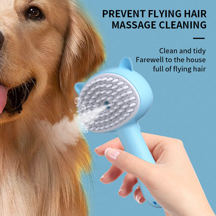 Hair Cleaning Brush With Mist Multifunctional Brush