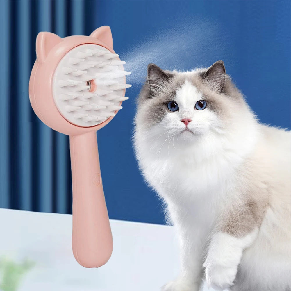 Hair Cleaning Brush With Mist Multifunctional Brush