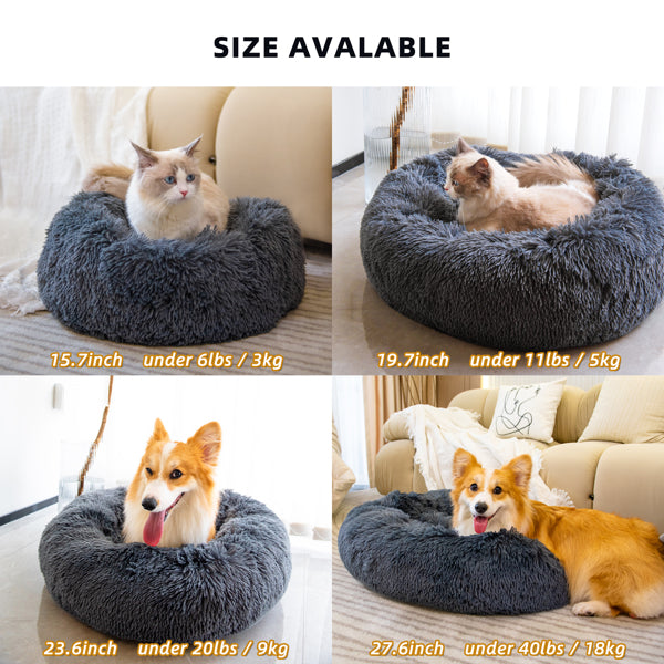 Pet Beds for Cats Dog