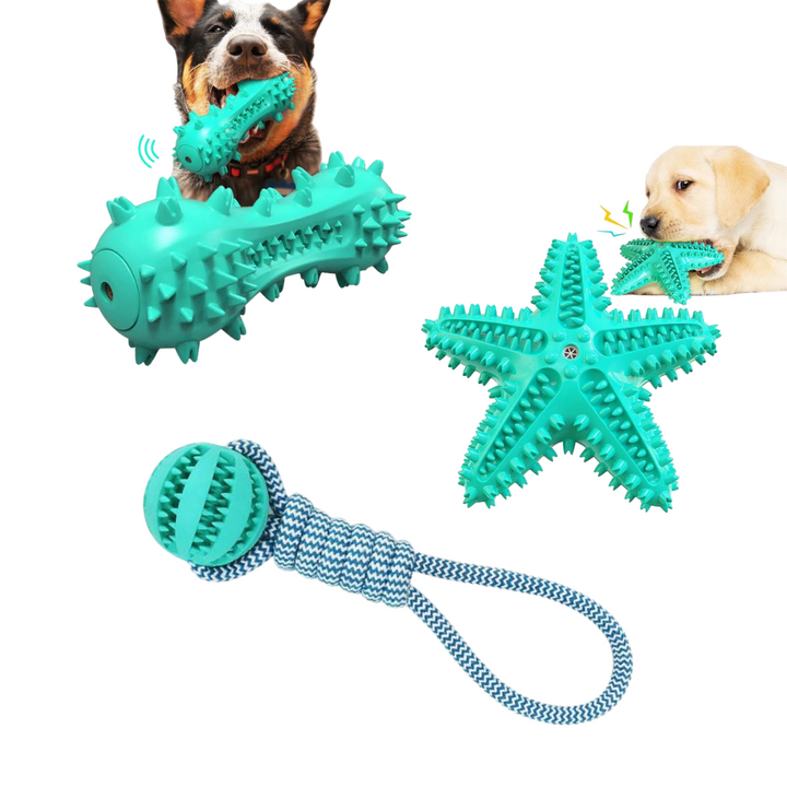 Squeaky Toothbrush & Cotton Rope Ball Dog Toys
