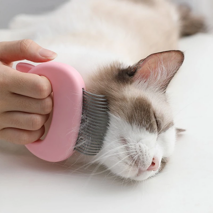 Pet Massage Grooming Brush To Remove Loose Hairs