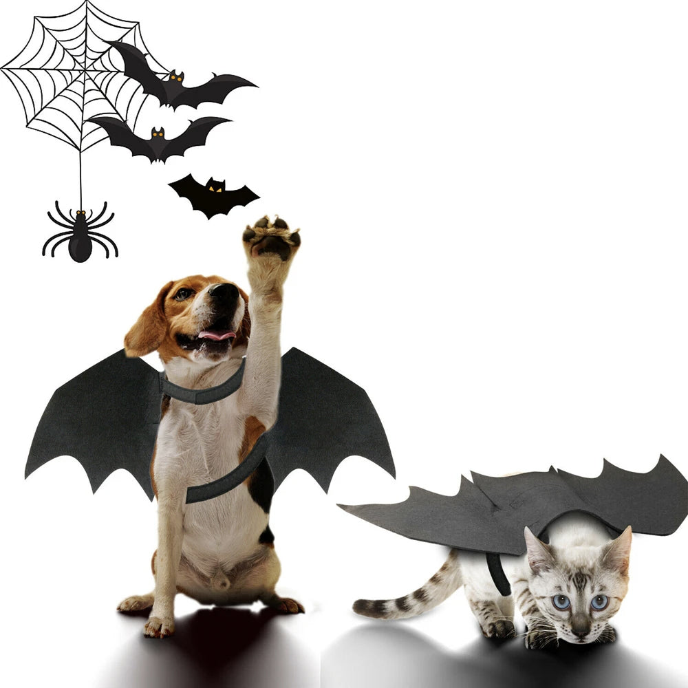 Halloween Pet Bat Wings Costume