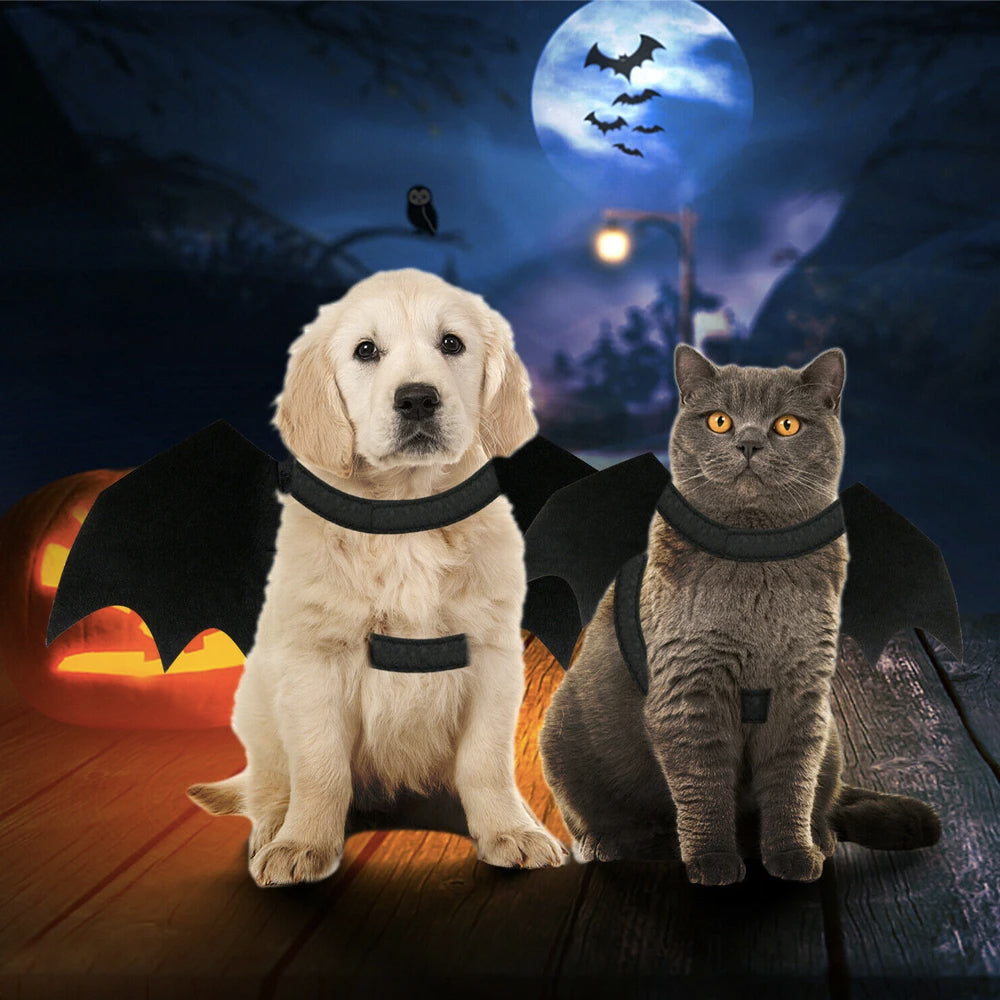 Halloween Pet Bat Wings Costume