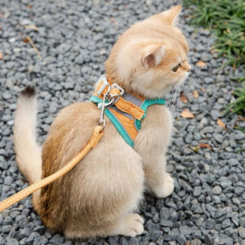 Adjustable Cat Harness With Leash