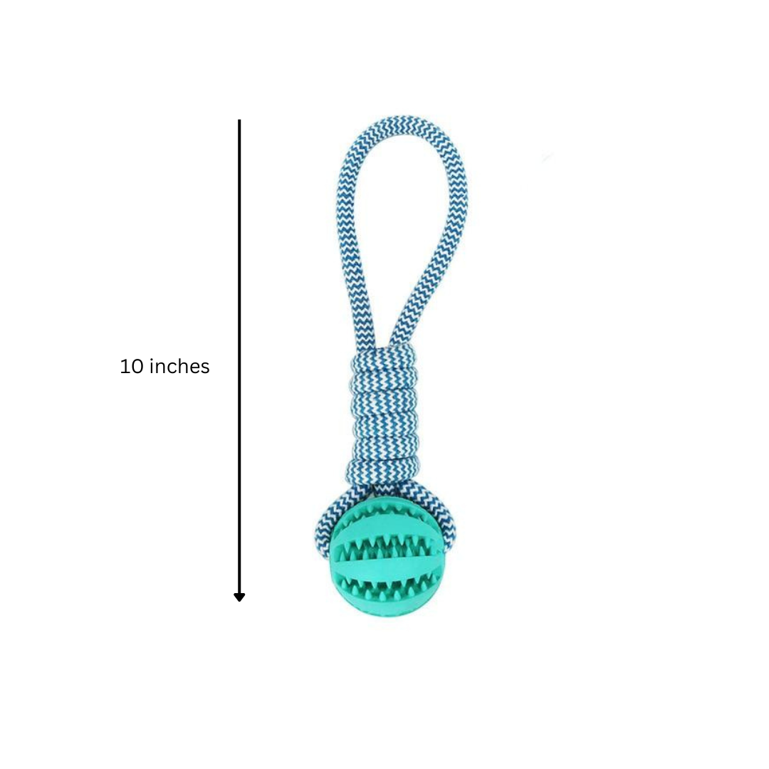 Squeaky Toothbrush & Cotton Rope Ball Dog Toys