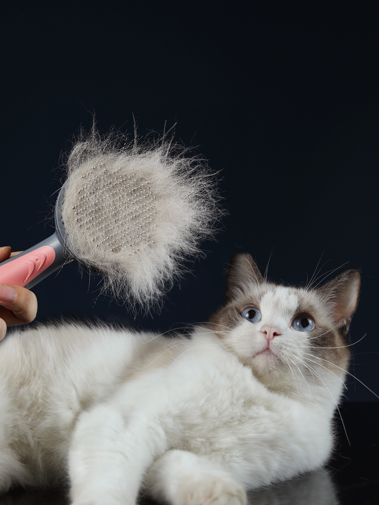 Pet Grooming Comb Cat Hair Brush