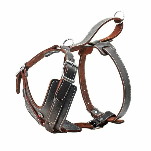 Durable Leather Harnesses Pet Training Leash