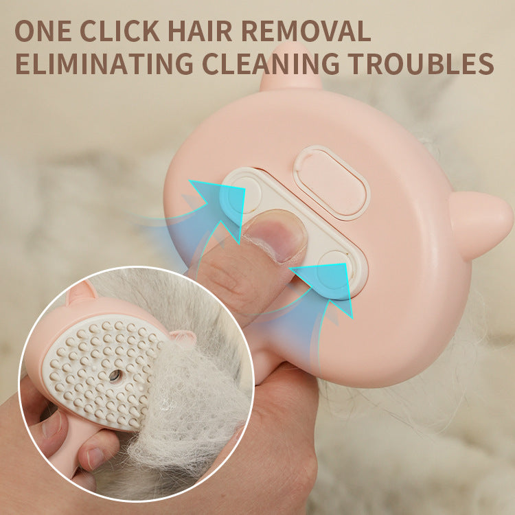 Hair Cleaning Brush With Mist Multifunctional Brush