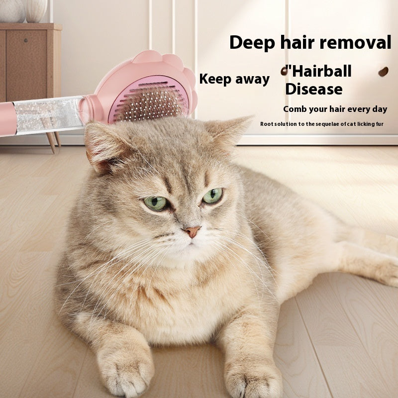 2 In 1 Self Cleaning Brush Comb