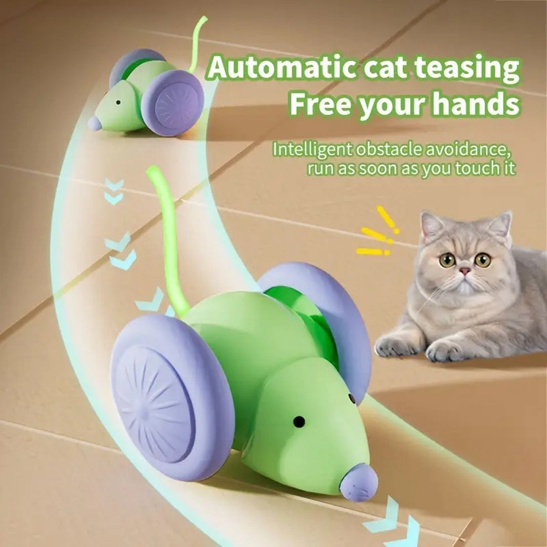 Pet Toys Interactive Cat Toy Electric Mouse Car