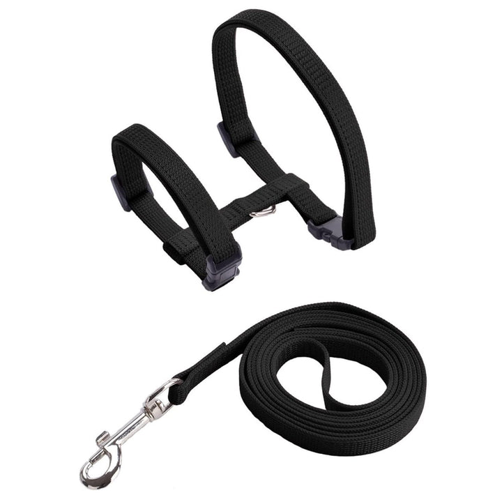 Cat Harness and Leash Set