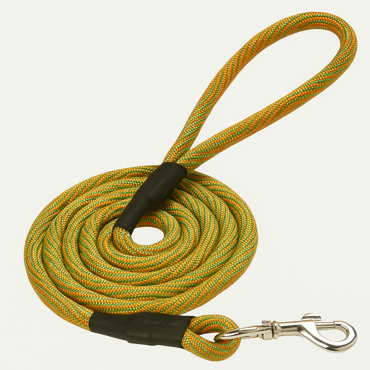 Pet Company Rope Training Leash