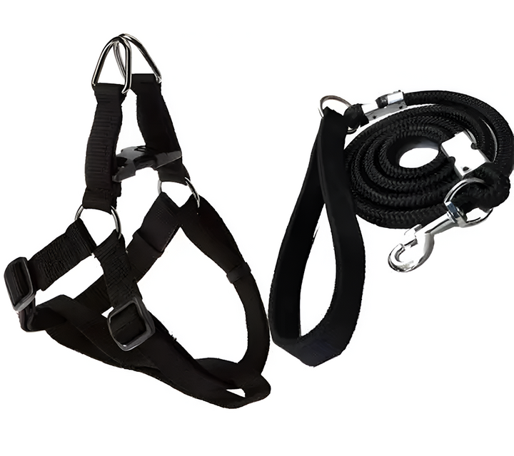 Dog Harness, Leash Rope Set