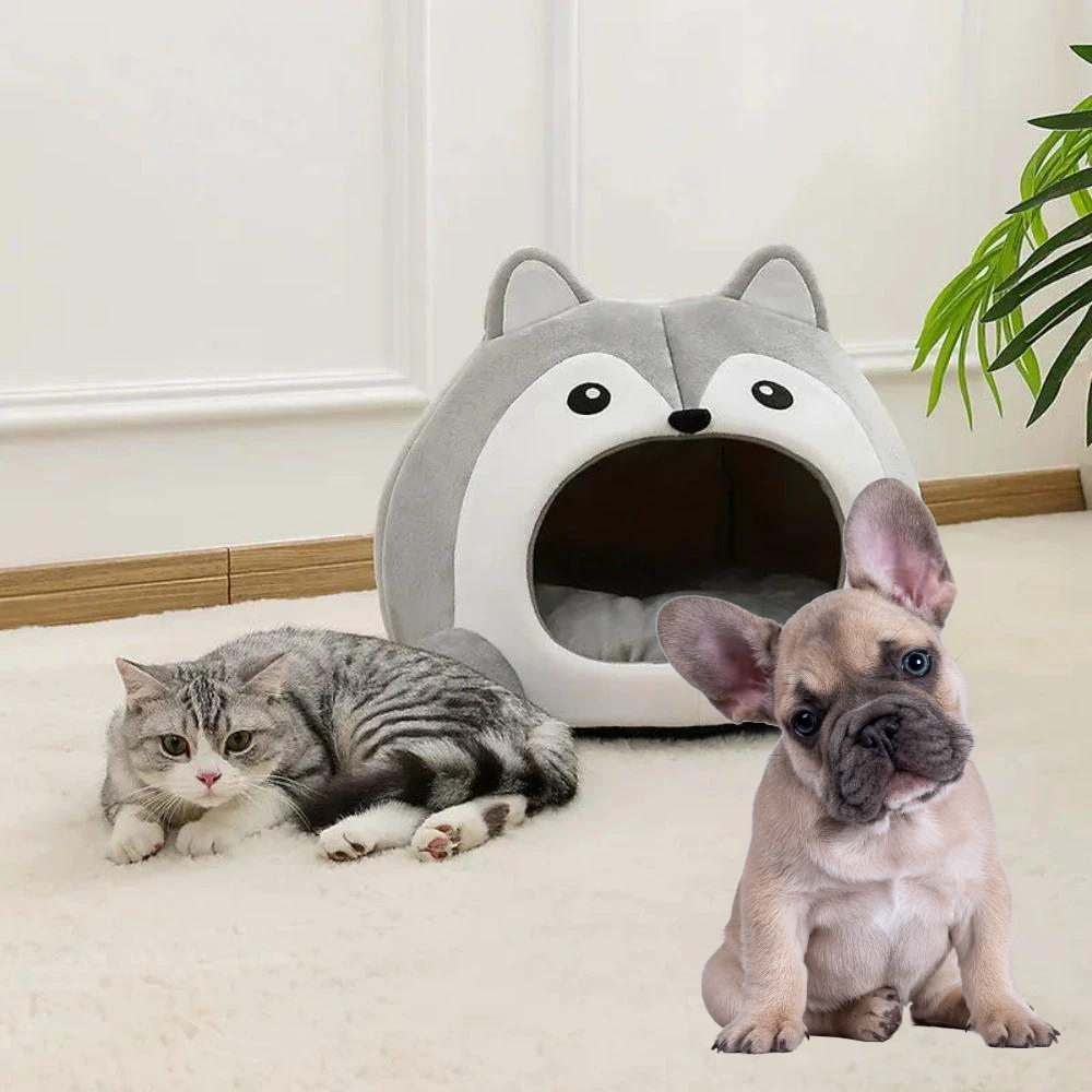 Cartoon Fox Theme Pet Beds