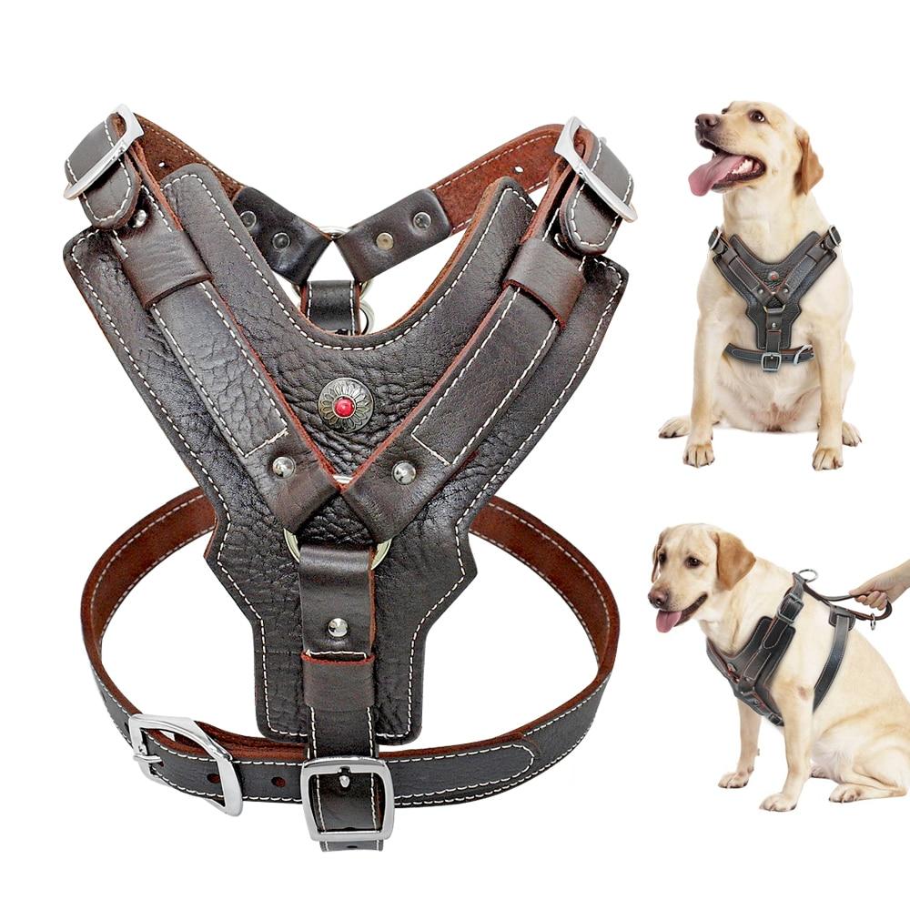 Durable Leather Harnesses Pet Training Leash