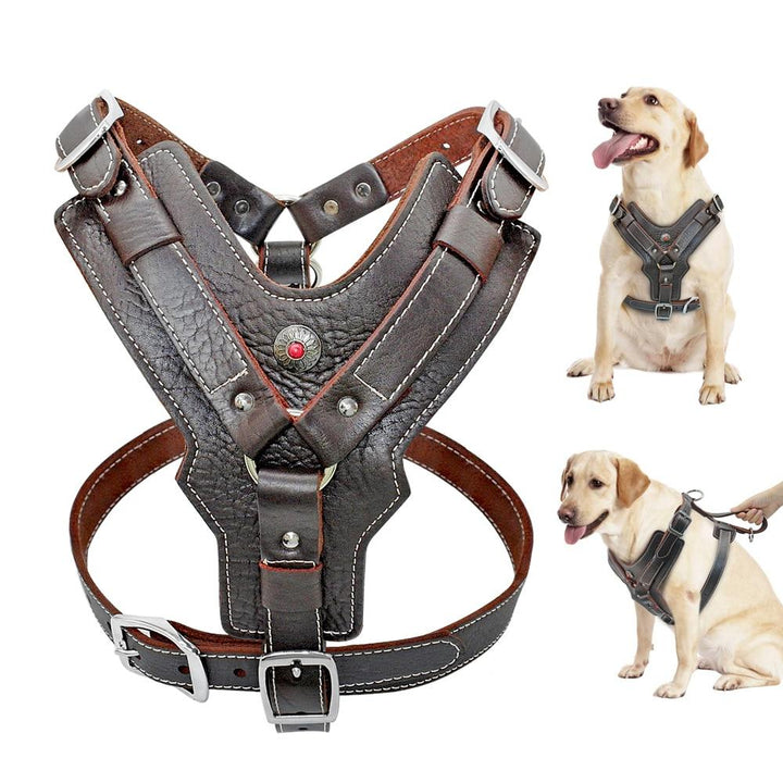 Durable Leather Harnesses Pet Training Leash