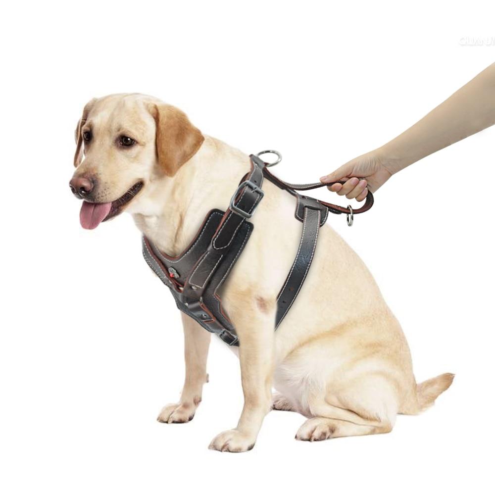 Durable Leather Harnesses Pet Training Leash