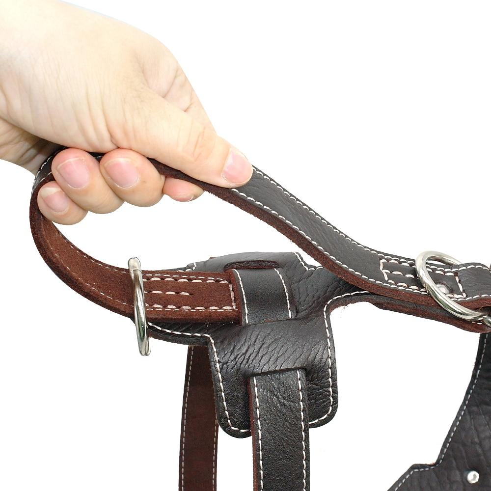 Durable Leather Harnesses Pet Training Leash