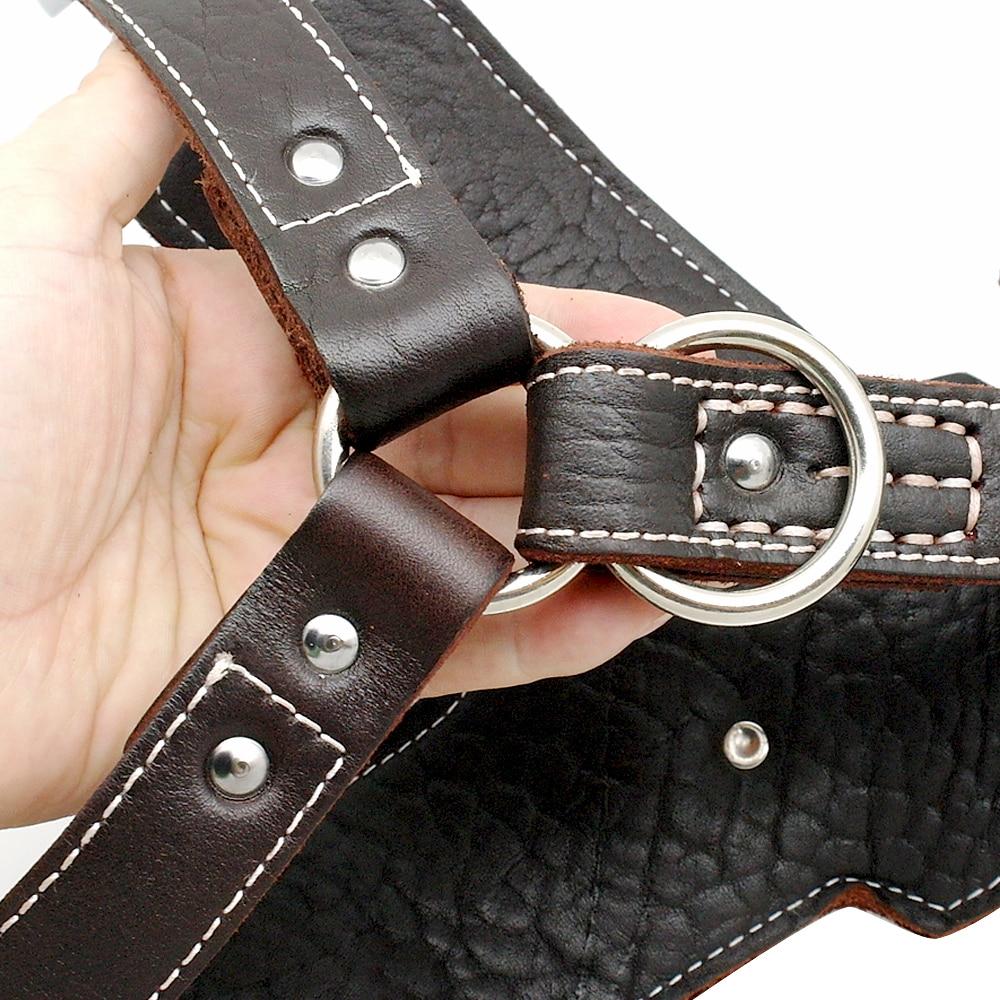 Durable Leather Harnesses Pet Training Leash