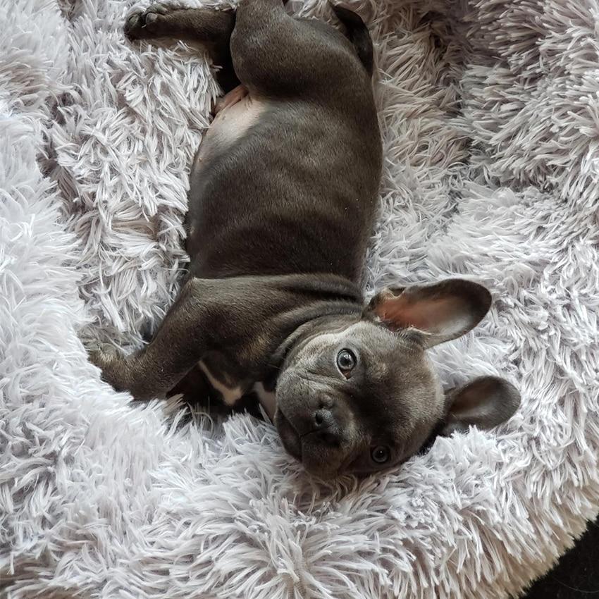 Soft Long Plush Dog House Cushion Cat