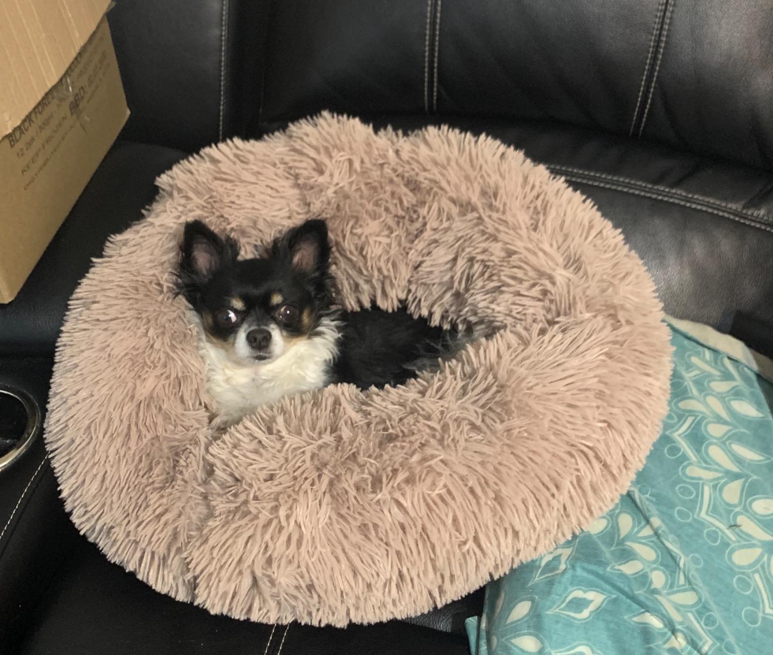 Soft Long Plush Dog House Cushion Cat
