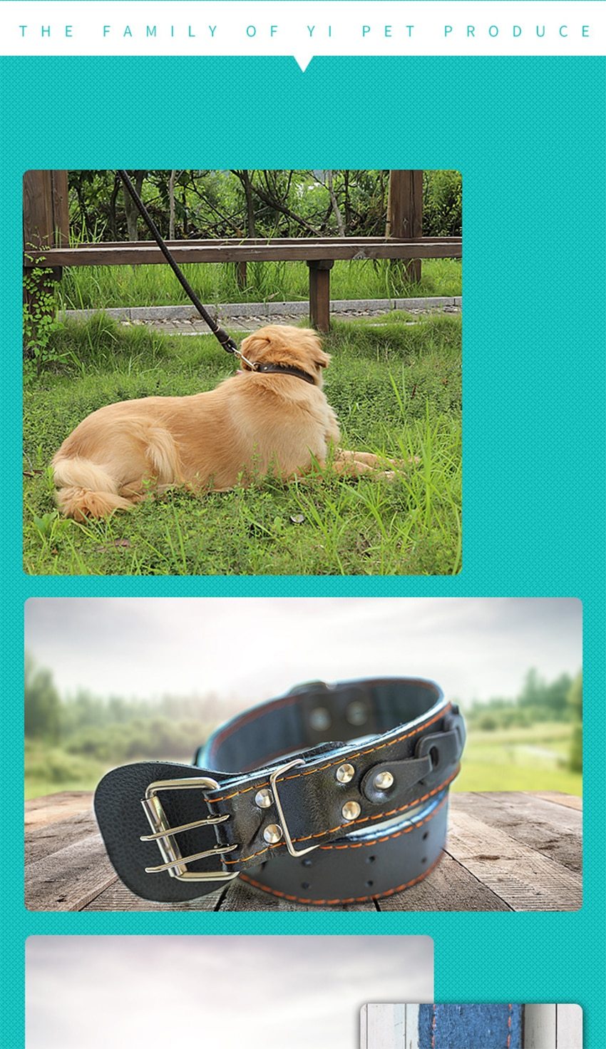 Pet Dog Collar Durable Leather Strap