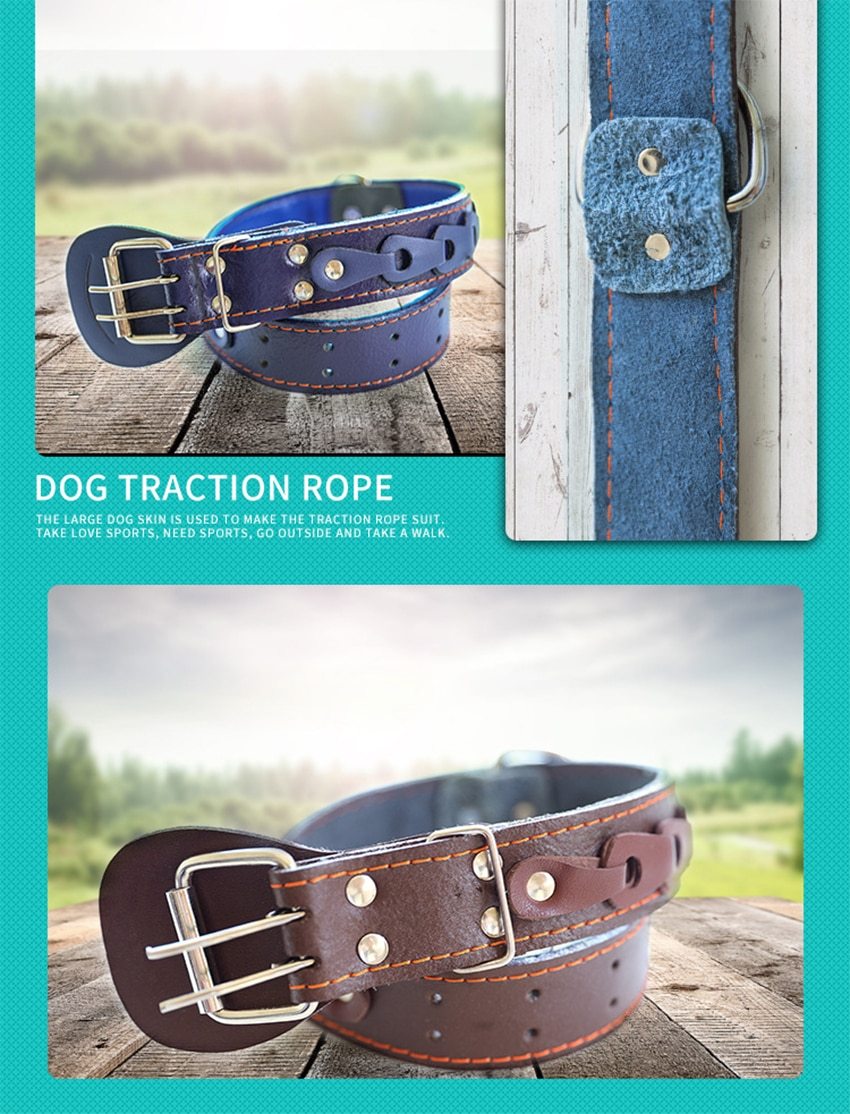 Pet Dog Collar Durable Leather Strap